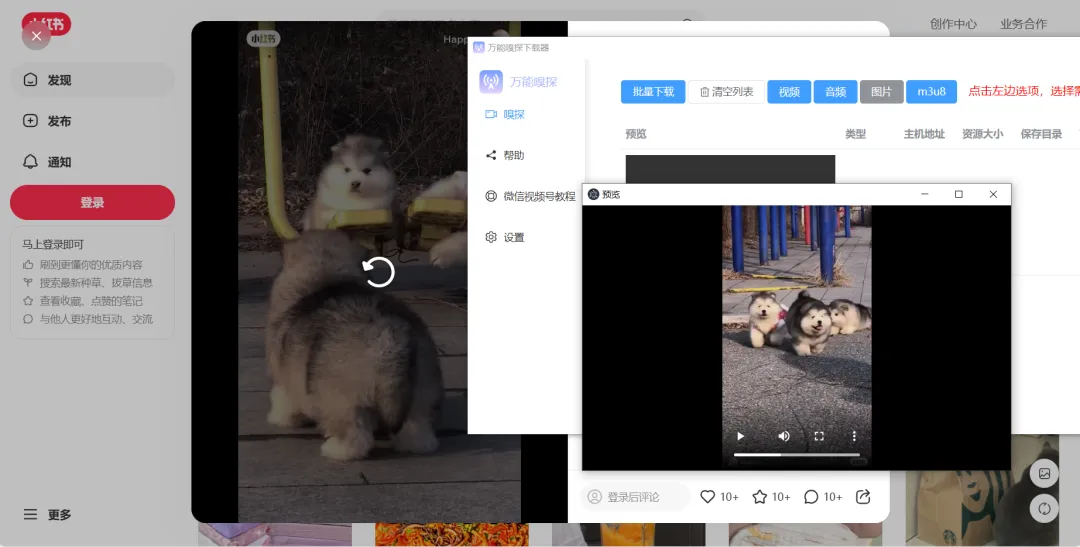 图片