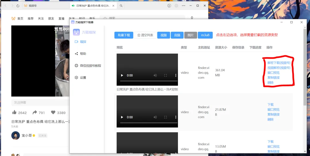 图片